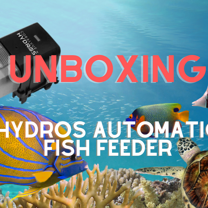 Hydros Automatic Fish Feeder whats in the box / Unboxing