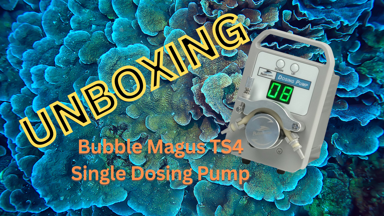 Bubble Magus TS4 / TS5Dosing Pump whats in the box / Unboxing