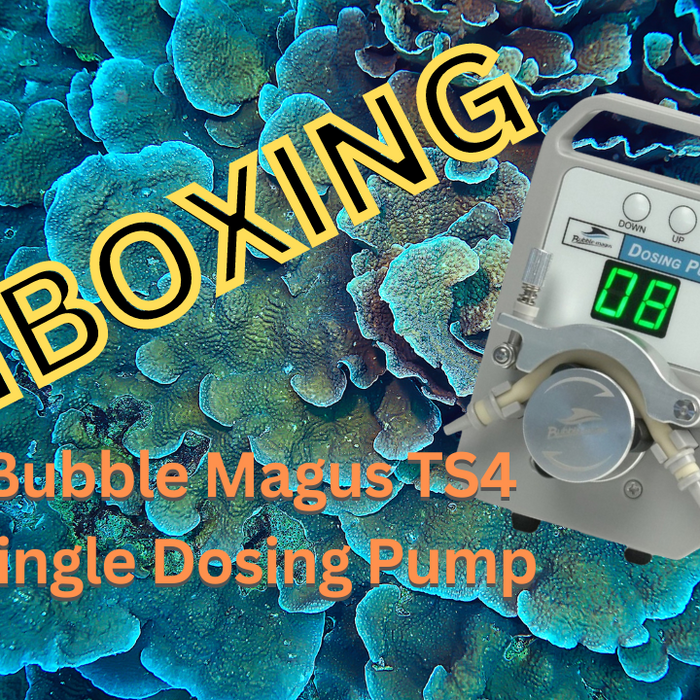 Bubble Magus TS4 / TS5Dosing Pump whats in the box / Unboxing