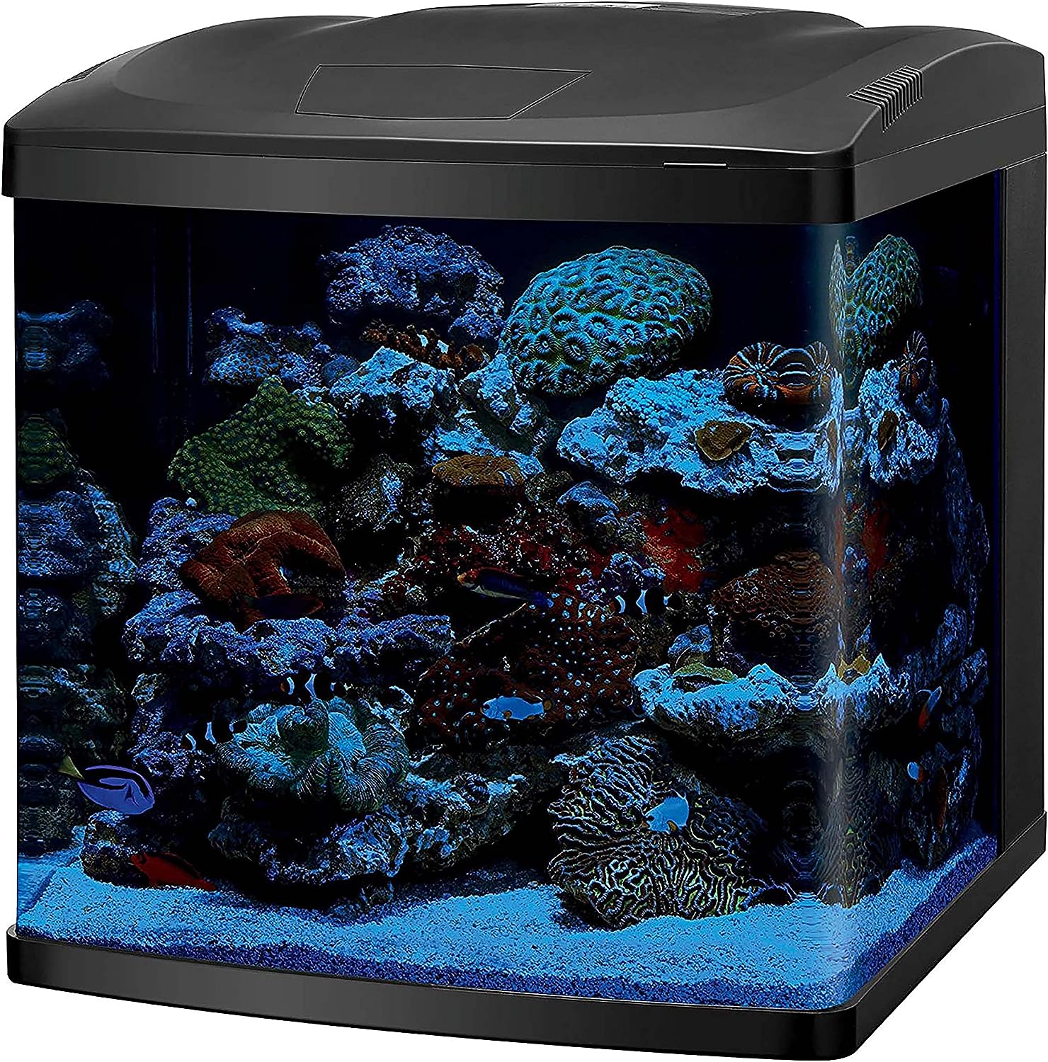 Coralife Biocube 16G Aquarium w/ LED's