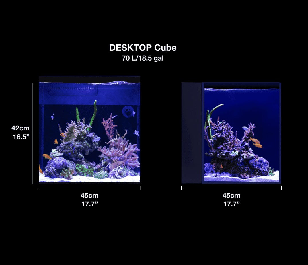 Red Sea Desktop Aquarium Peninsula w/ Stand (WHITE) + FREE SAND / SALT / 15% DISCOUNT