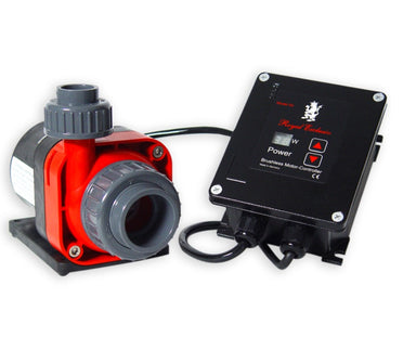 Royal Exclusive BK Red Dragon® 3 Mini Speedy Pump 50 Watt - 1320 GPH