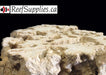 FLAT Marco Rock - Premium Dry Key Largo CUT FLAT on one side (1lbs)