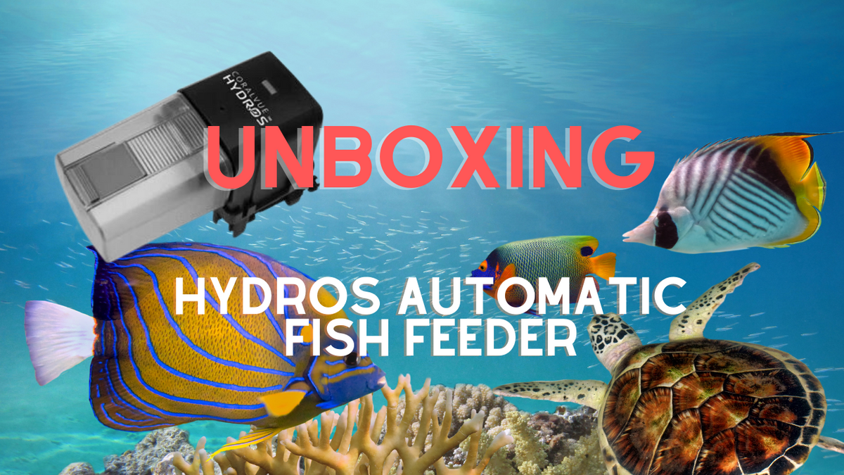 Hydros Automatic Fish Feeder whats in the box / Unboxing — Reef