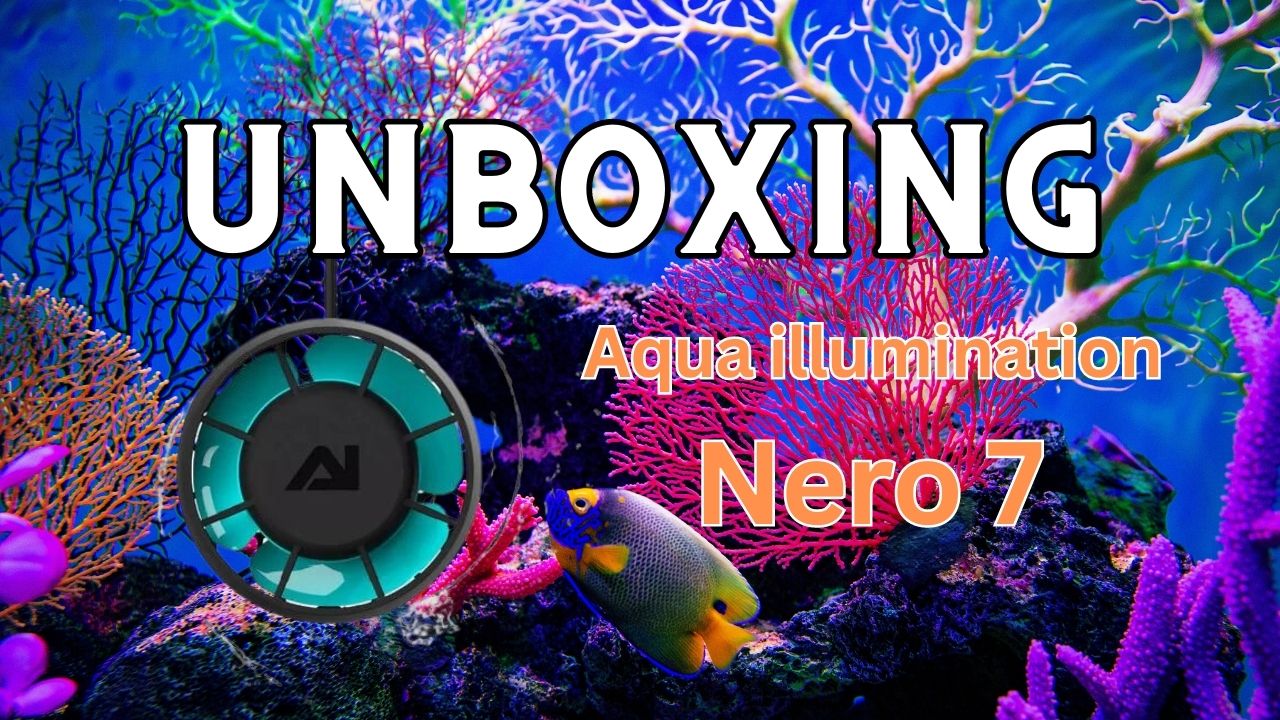 AI Nero 7 whats in the box / Unboxing