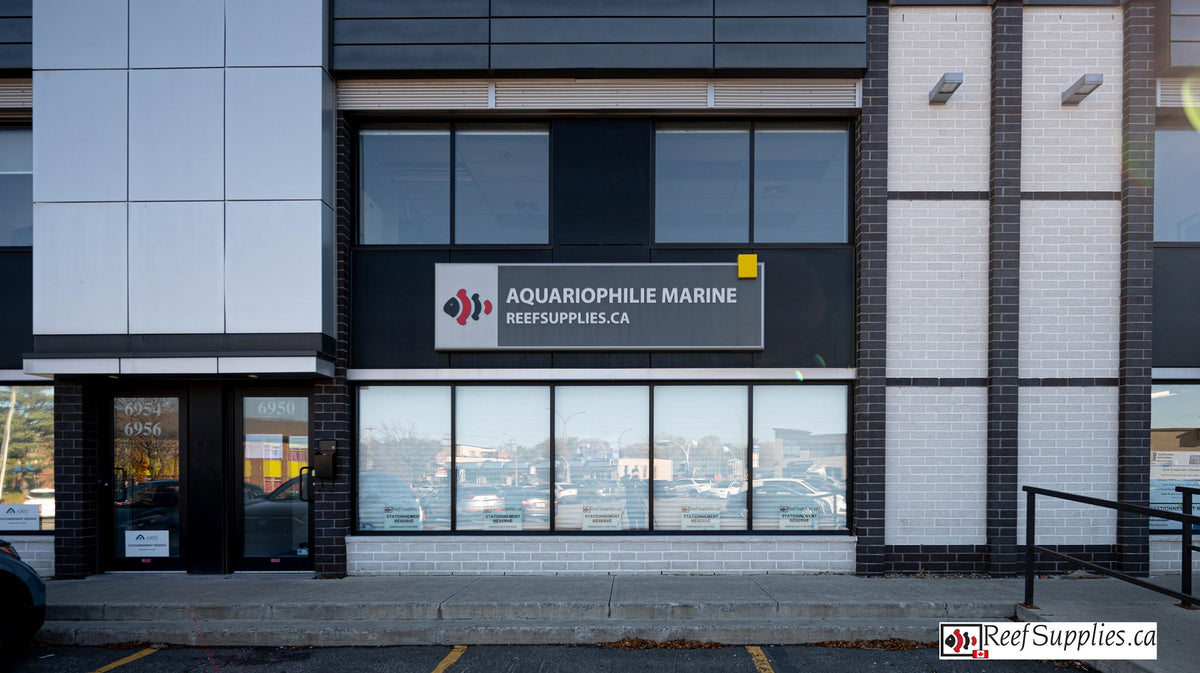 Picture of Reef Supplies FEATURED on Reef Builders! — Reef Supplies Canada