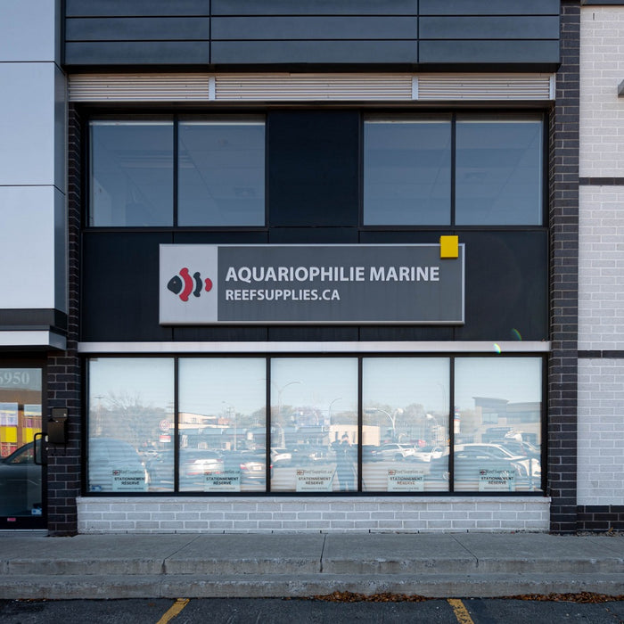 Reef Supplies FEATURED on Reef Builders!