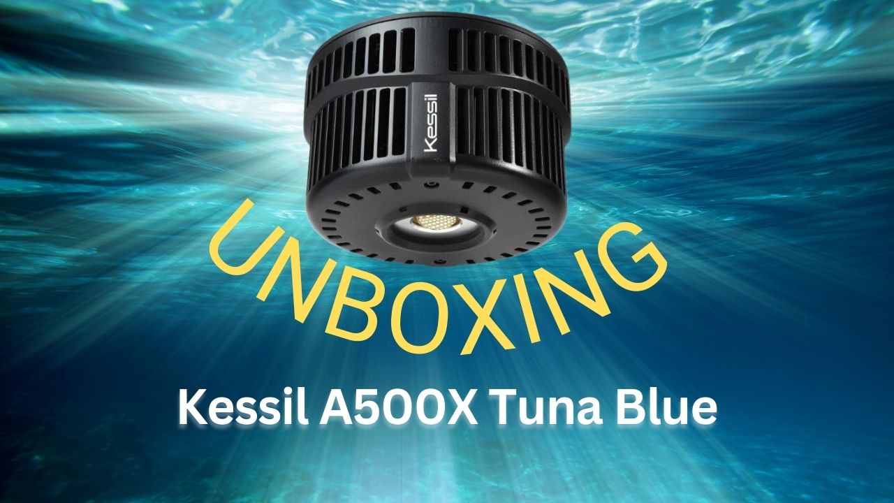 Kessil A500X Tuna Blue whats in the box / Unboxing