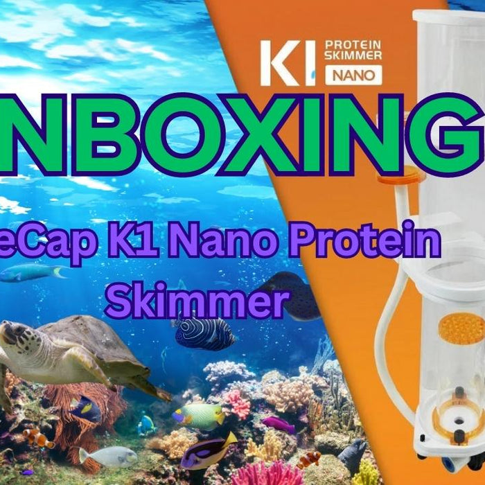 IceCap K1 Nano Protein Skimmer whats in the box / Unboxing