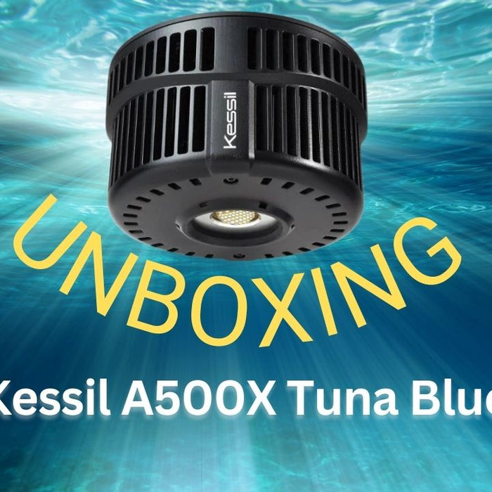Kessil A500X Tuna Blue whats in the box / Unboxing