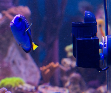 Tunze Turbelle nanostream 6040 w/ HUB controller