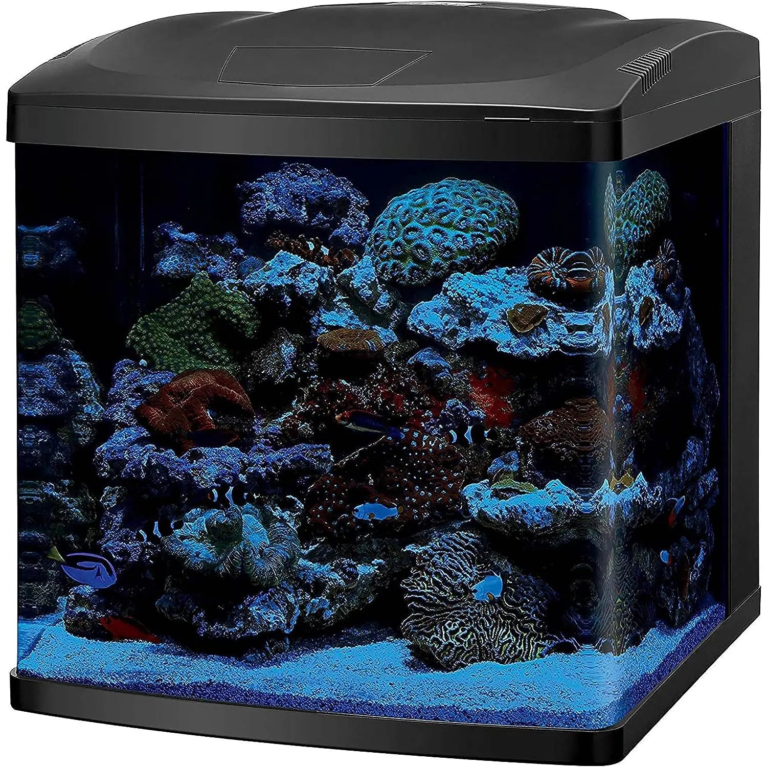 Coralife Biocube 16G Aquarium w/ LED's Coralife (Oceanic Systems)