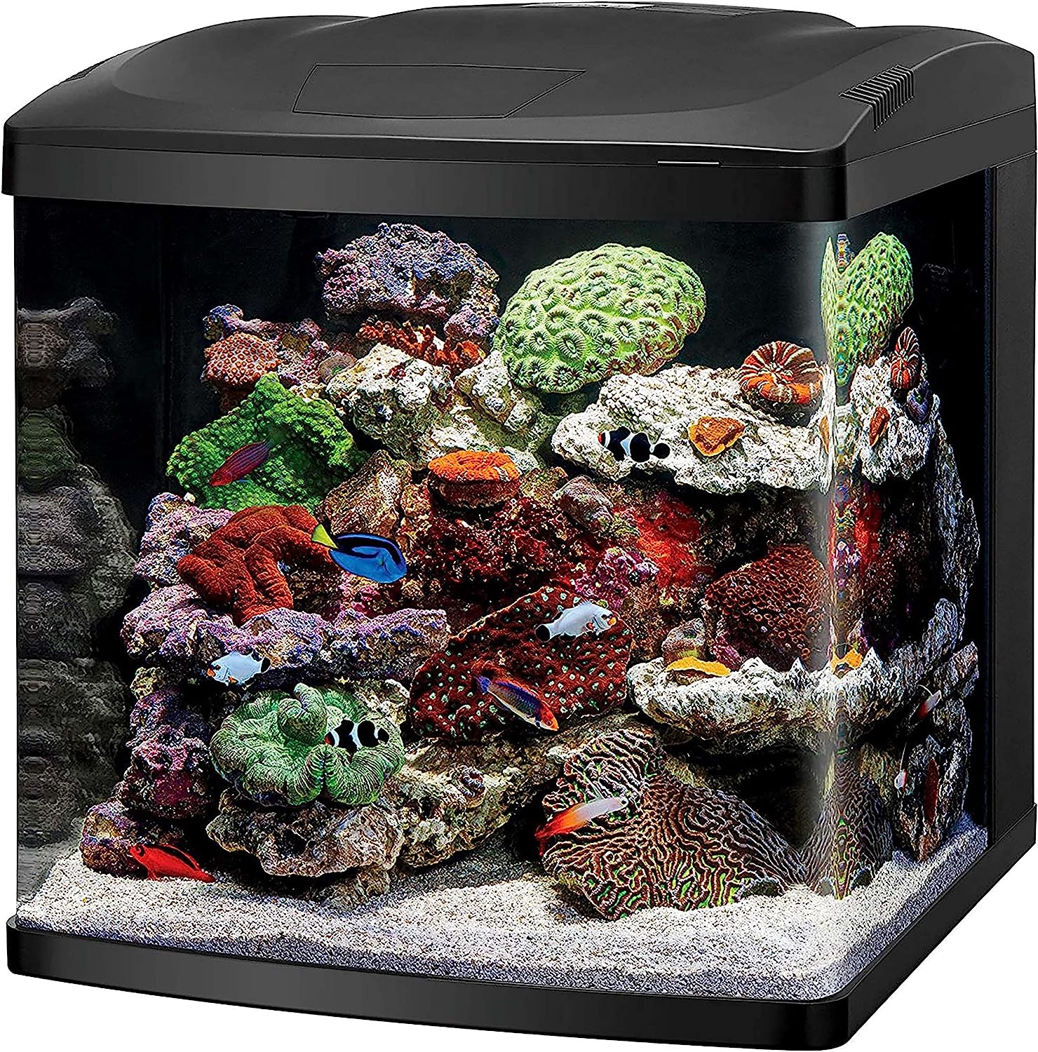 Coralife Biocube 16G Aquarium w/ LED's