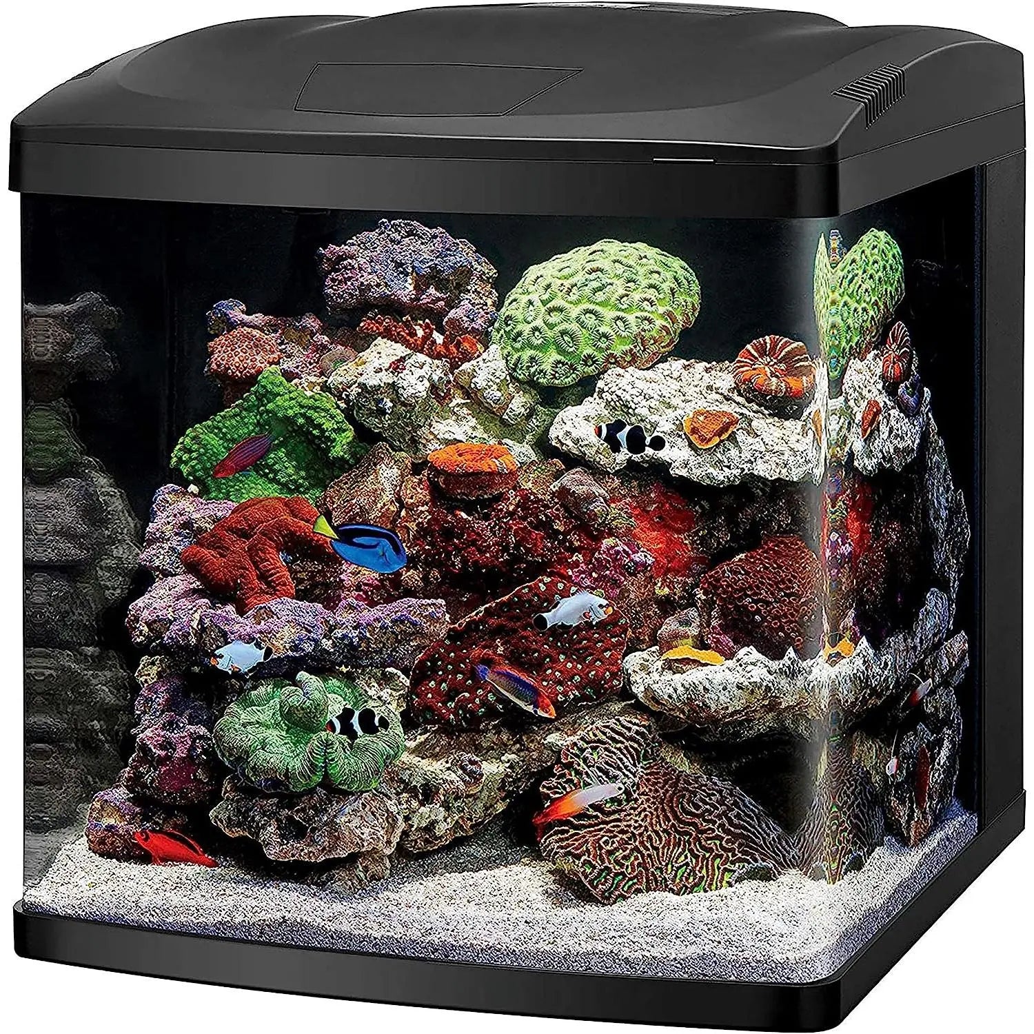 Coralife Biocube 16G Aquarium w/ LED's Coralife (Oceanic Systems)