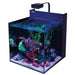 Red Sea Reefer Aquarium Max Nano XL G2