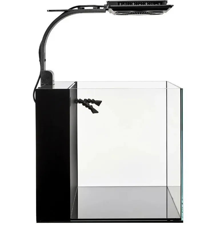 Maxspect Dice AIO 12 Gallon Nano Cube Aquarium avec MJ-L165 LED 