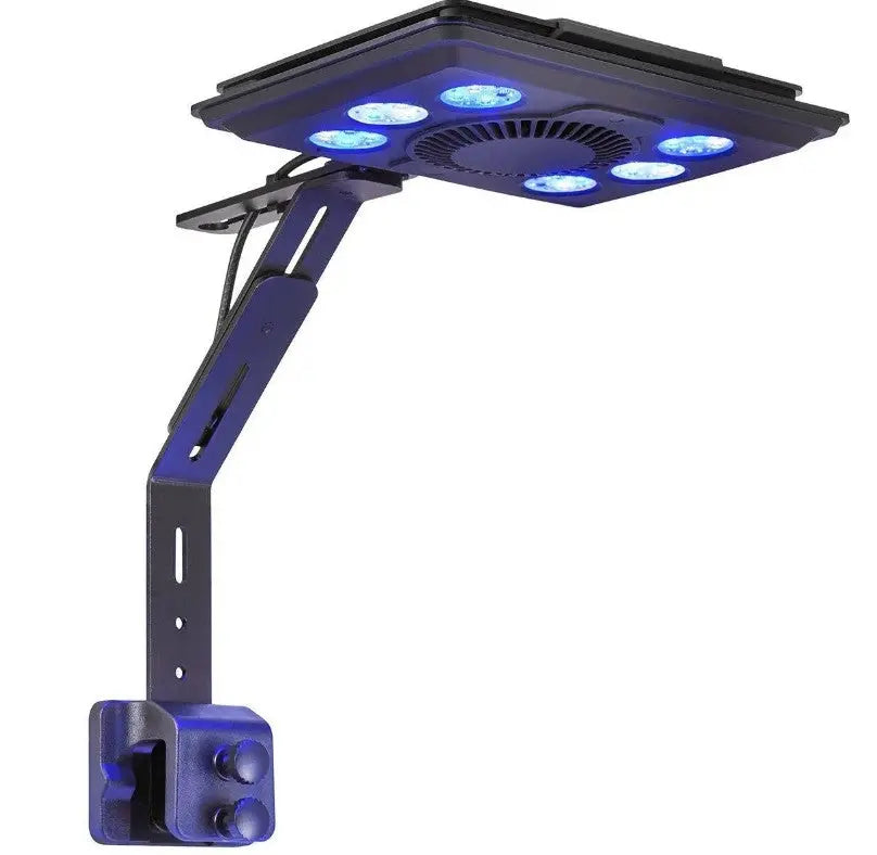 Maxspect Dice AIO 12 Gallon Nano Cube Aquarium avec MJ-L165 LED 