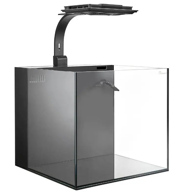Maxspect Dice AIO 12 Gallon Nano Cube Aquarium avec MJ-L165 LED 