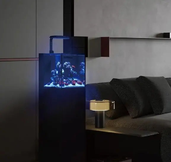 Maxspect Dice AIO 12 Gallon Nano Cube Aquarium avec MJ-L165 LED 