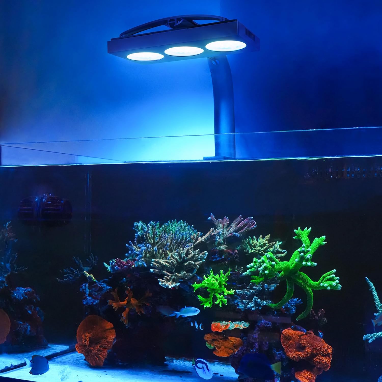 Nicrew Hyper Reef 150 Gen 2