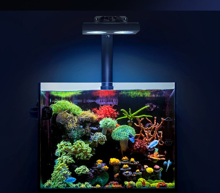 Nicrew Hyper Reef 150 Gen 2