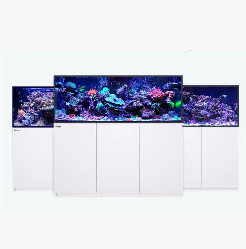 Red Sea Reefer G3 625