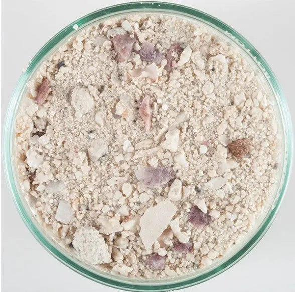 CaribSea Arag Alive Bimini Pink Sand 20 lbs - Live Sand CaribSea