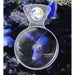 Flipper DeepSee Magnified Magnetic Aquarium Clear Viewer 4"