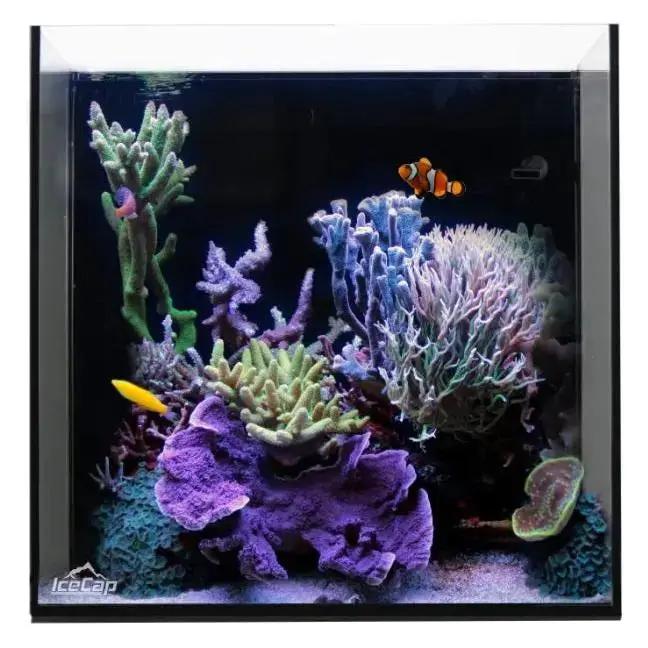 IceCap 38 Gallon Cube AIO Rimless Glass Aquarium