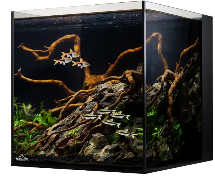 IceCap 10 Gallon Cube AIO Rimless Glass Aquarium — Reef Supplies