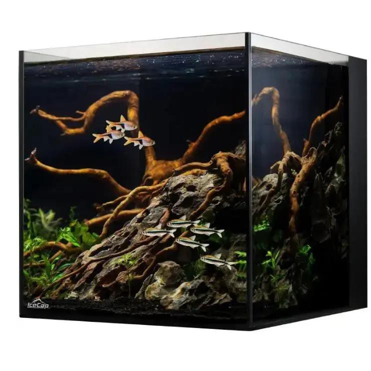 IceCap 38 Gallon Cube AIO Rimless Glass Aquarium