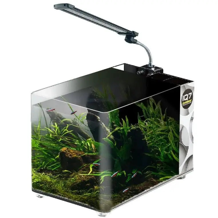 Dymax IQ7 5.2-Gallon Mini Acrylic Freshwater Aquarium - Mono Black