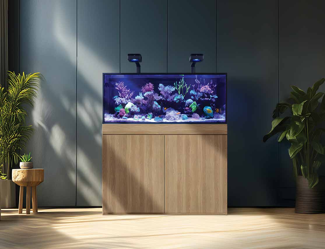 Red Sea Reefer G3 + 200