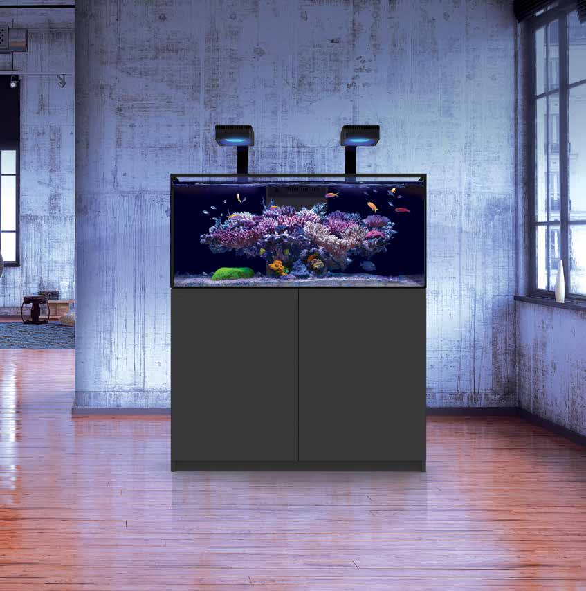 Red Sea Reefer G3 + 200