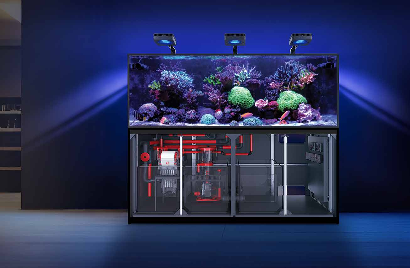 Red Sea Reefer G3 + 200