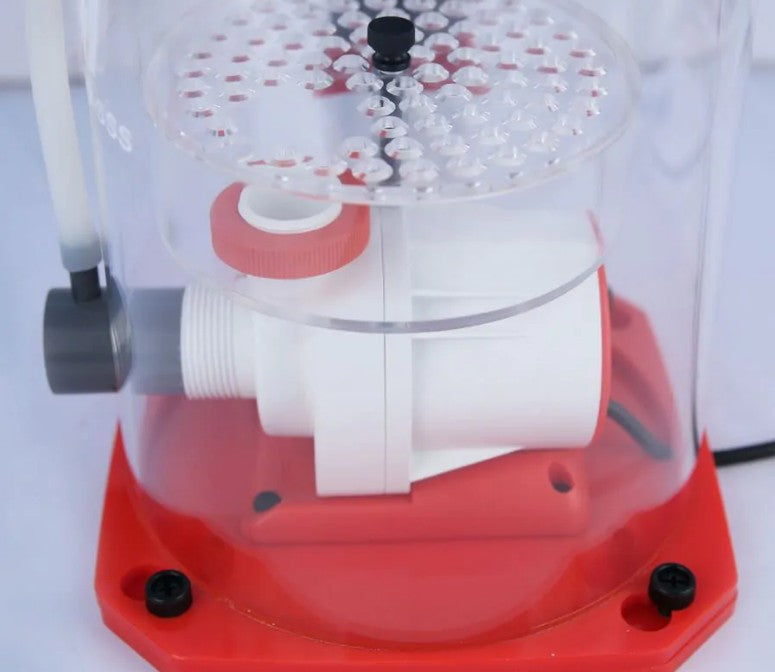 Reef Octopus Écumeur de protéines Regal 150SSS 