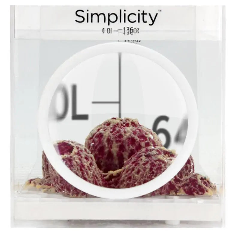 Simplicity Coral 4L Dipping Container