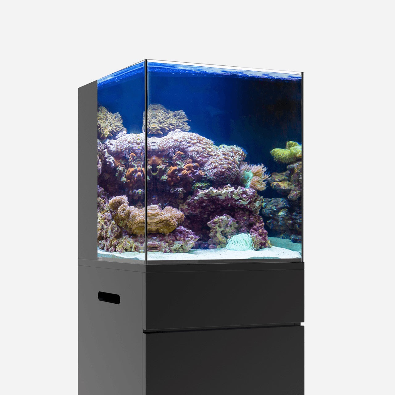 JBJ Nano RL AIO Rimless Aquarium - 15 Gallon