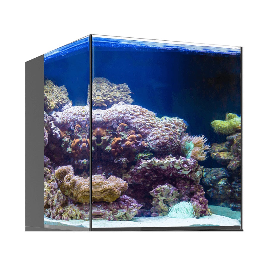 JBJ Nano RL AIO Rimless Aquarium - 10 Gallon — Reef Supplies Canada