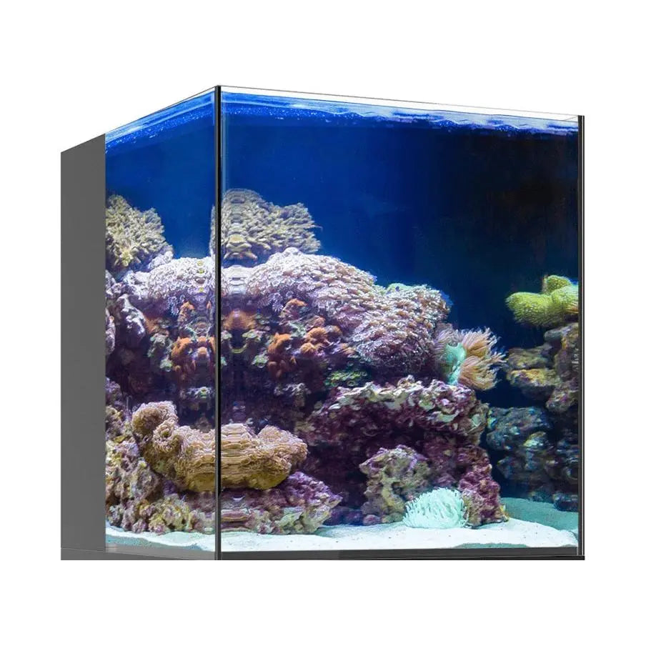 JBJ Nano RL AIO Rimless Aquarium - 15 Gallon