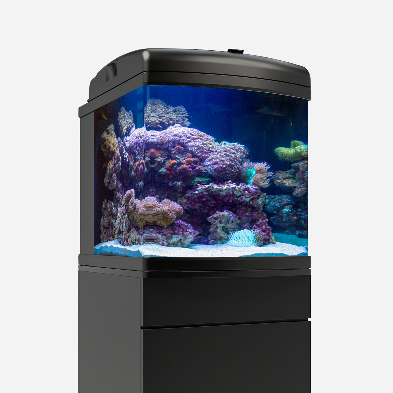 JBJ 28G Nano Cube Aquarium AIO w/ 40W LED Wifi