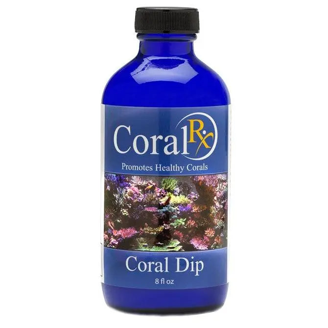 Coral RX Coral Dip - 8oz