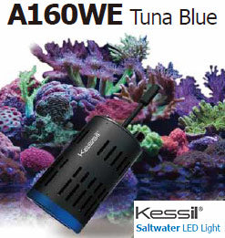 Kessil a160we Tuna Blue Canada — Reef Supplies Canada