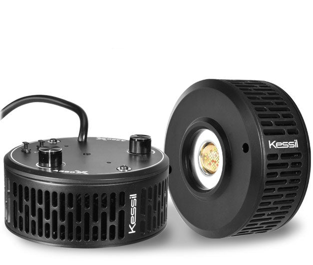 Kessil A360X Tuna Sun - Freshwater