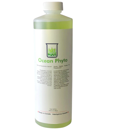 Ocean Phyto - LIVE Phytoplankton (500ML)