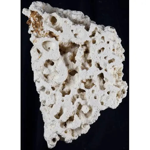 South Seas Dry Base Rock by CaribSea for Reef Aquariums — Reef Supplies ...